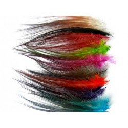 Gaspé Fly - Heron spey hackle