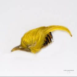 Golden Pheasant - Complete Crest - Grade # 1 - Natural Gold color.