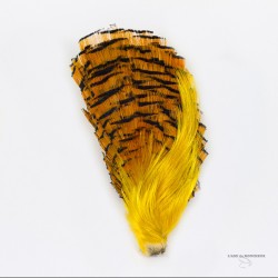 Golden Pheasant - Complete Head - Crest + Tippet - Grade 1 - Natural color.