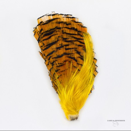 Golden Pheasant - Complete Head - Crest + Tippet - Grade # 1 - Natural color.