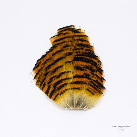 Golden Pheasant - Complete Tippet - Grade 1 - Natural color.