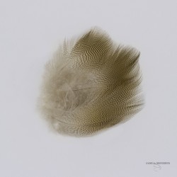 Canard Woodduck - Plume de Flanc - Sac de 12 plumes - Couleur Naturelle.