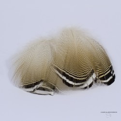 Canard Woodduck - Plume Barrée Noir et Blanc - Sac de 3 Paires - Couleur Naturelle.