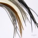 DRY FLY HACKEL - 10 FEATHER I A PACK