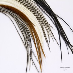 DRY FLY HACKEL - 10 FEATHER I A PACK