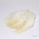 Hackle - Plumes de Selle de Coq Naturelles - Longueur 3" a 5"