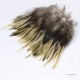 Hackle - Plumes de Selle de Coq Naturelles - Longueur 3" a 5"