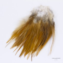 Hackle - Plumes de Selle de Coq Naturelles - Longueur 3" a 5"