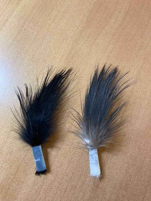 Heron Feather Black or Nat Grey Heron L'ami du moucheur