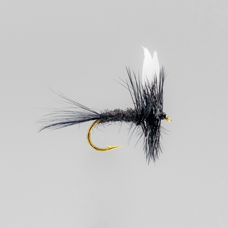 Neptune - Trout Flies - Dry - Black Gnat. - Dry. - L'ami du moucheur