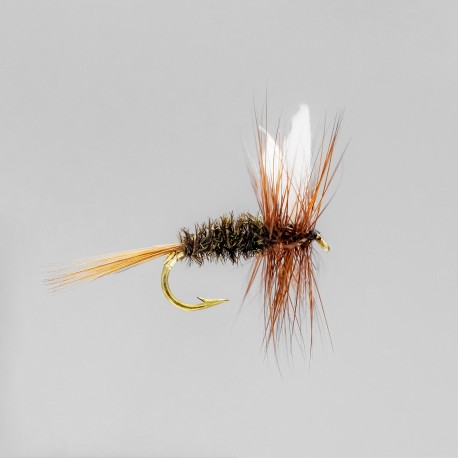 Neptune - Trout Flies - Dry - Coachman.