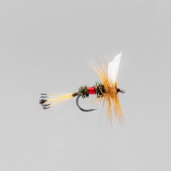 Neptune - Trout Flies - Dry - Royal Coachman.