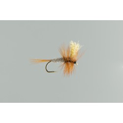 Neptune - Trout Flies - Dry - Dark Cahill.