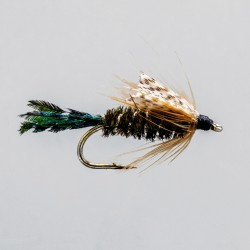 Neptune - Nymph - Zug Bug.