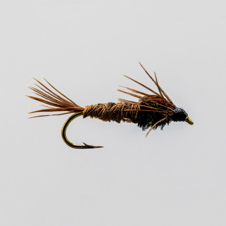 Neptune - Nymphe - Pheasant Tail.