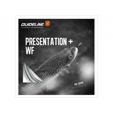 Guideline - Presentation+