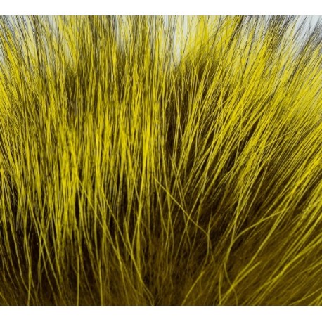 Shor - Renard Gris Teint