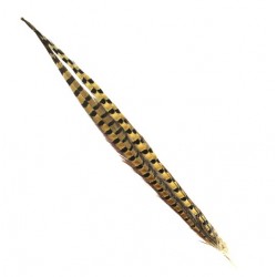 Shor - Ring Necked Pheasant Tail (1 pr)