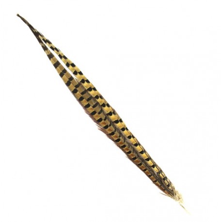 Shor - Ring Necked Pheasant Tail (1 pr)