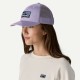 Patagonia - P-6 Logo LoPro Trucker