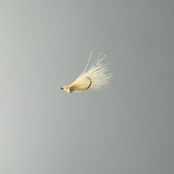 Neptune - Crazy Charlie - Light Sand