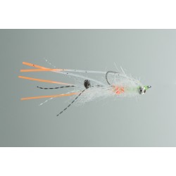 Neptune - Ascension Bay Mantis Ghost Shrimp