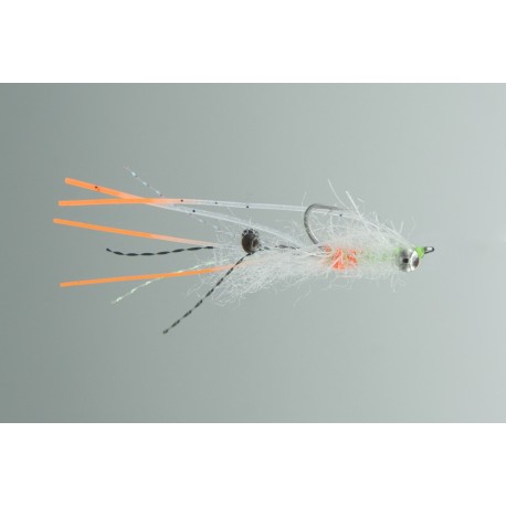 Neptune - Ascension Bay Mantis Ghost Shrimp