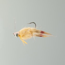 Neptune - Kung-Fu Crab - Tan