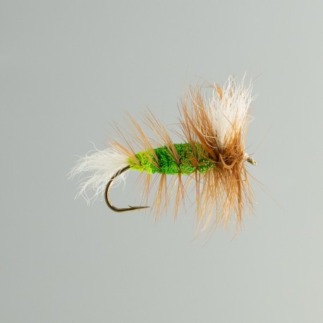 Neptune - Bomber Killer Whisker Vert